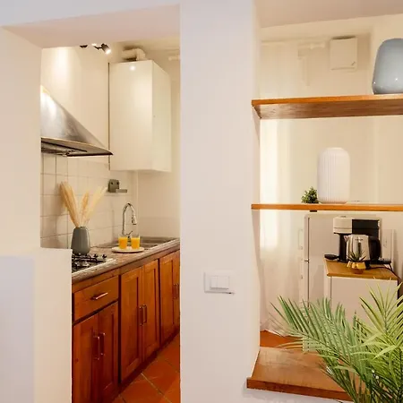 Paradise Apartment